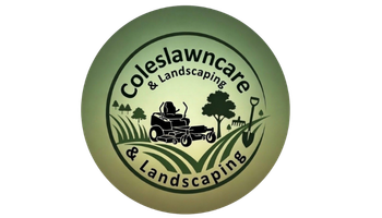 Untitled design (14)